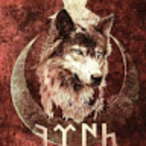 Meet your Posher, Turk